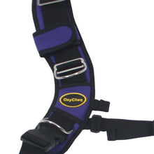 Load image into Gallery viewer, OxyCheq Deluxe Adjustable Harness
